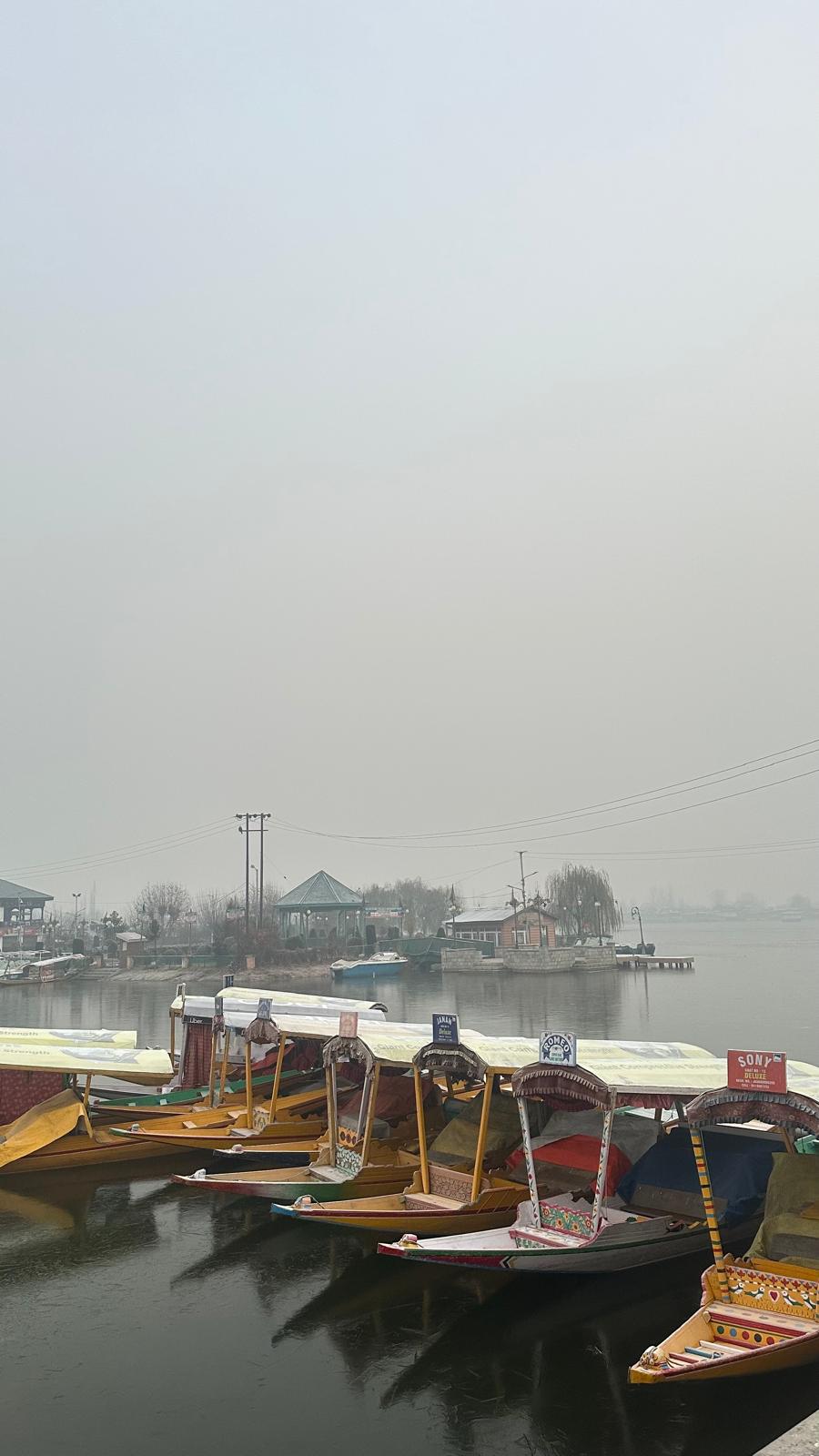 Kashmir